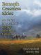 [Magazine of Literary, Adventure, Fantasy 219] • Beneath Ceaseless Skies #219